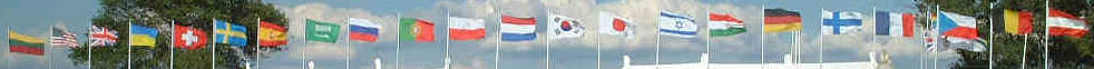 flags.jpg (17307 octets)